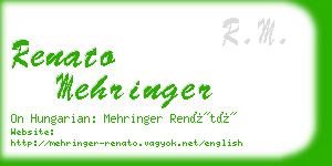 renato mehringer business card